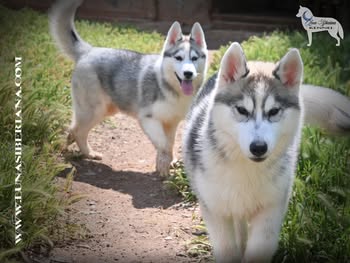 services-02 495238185 739375171937781 6994749927671105493 n